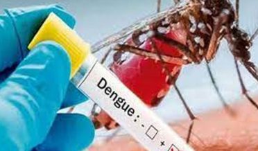 dengue patients